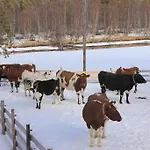 Feriehus Furuheim Gaard