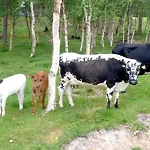 Feriehus Furuheim Gaard