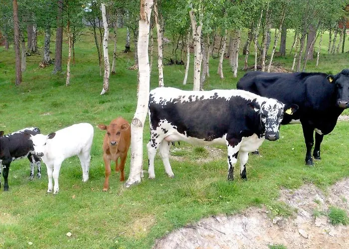 Dom wakacyjny Furuheim Gaard